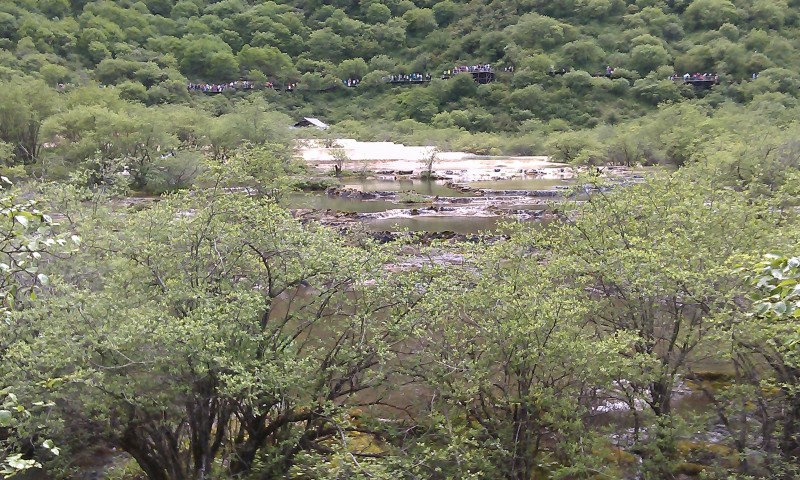 IMAG0055.jpg