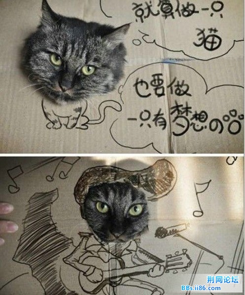 55555555555555555555555555555.jpg