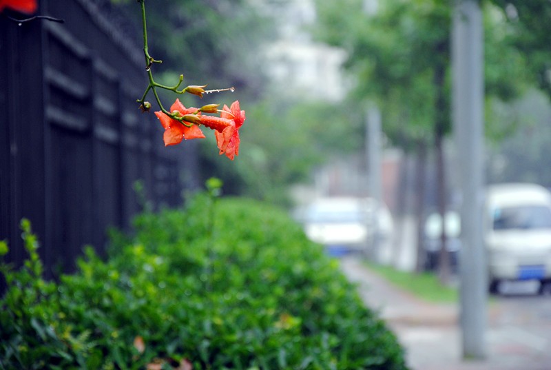 DSC_5467_副本.jpg