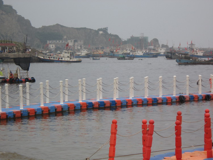任凭风吹浪打，同心携手不动.JPG