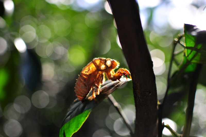 DSC_4555.jpg