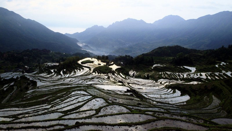 梅源梯田4.jpg