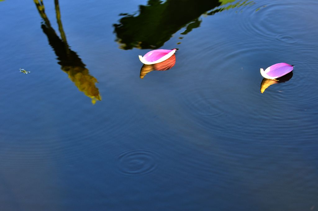 DSC_4669.jpg