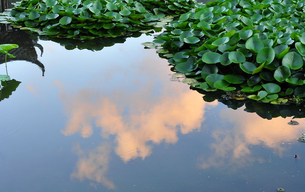 DSC_4722.jpg