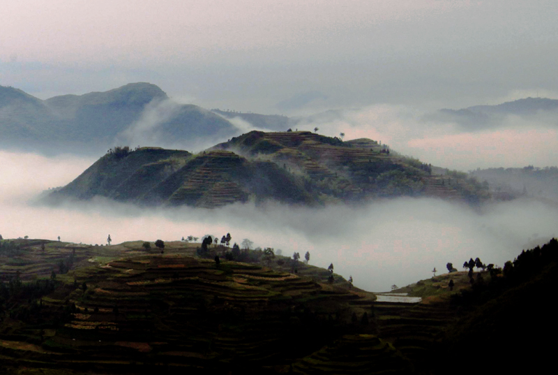 茗岙3.jpg