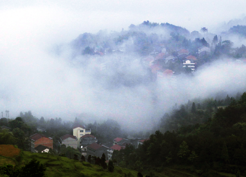 茗岙2.jpg