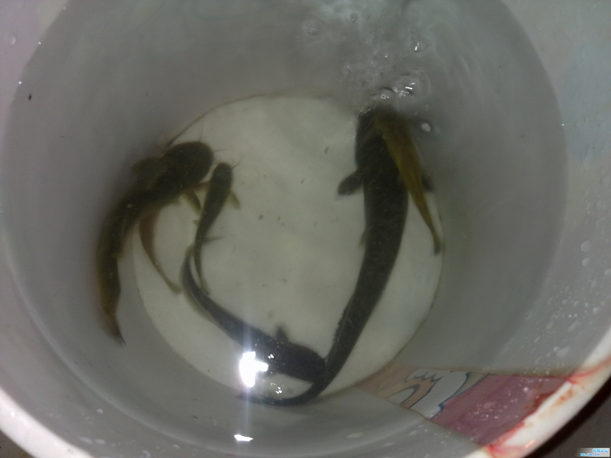 20120920001.jpg