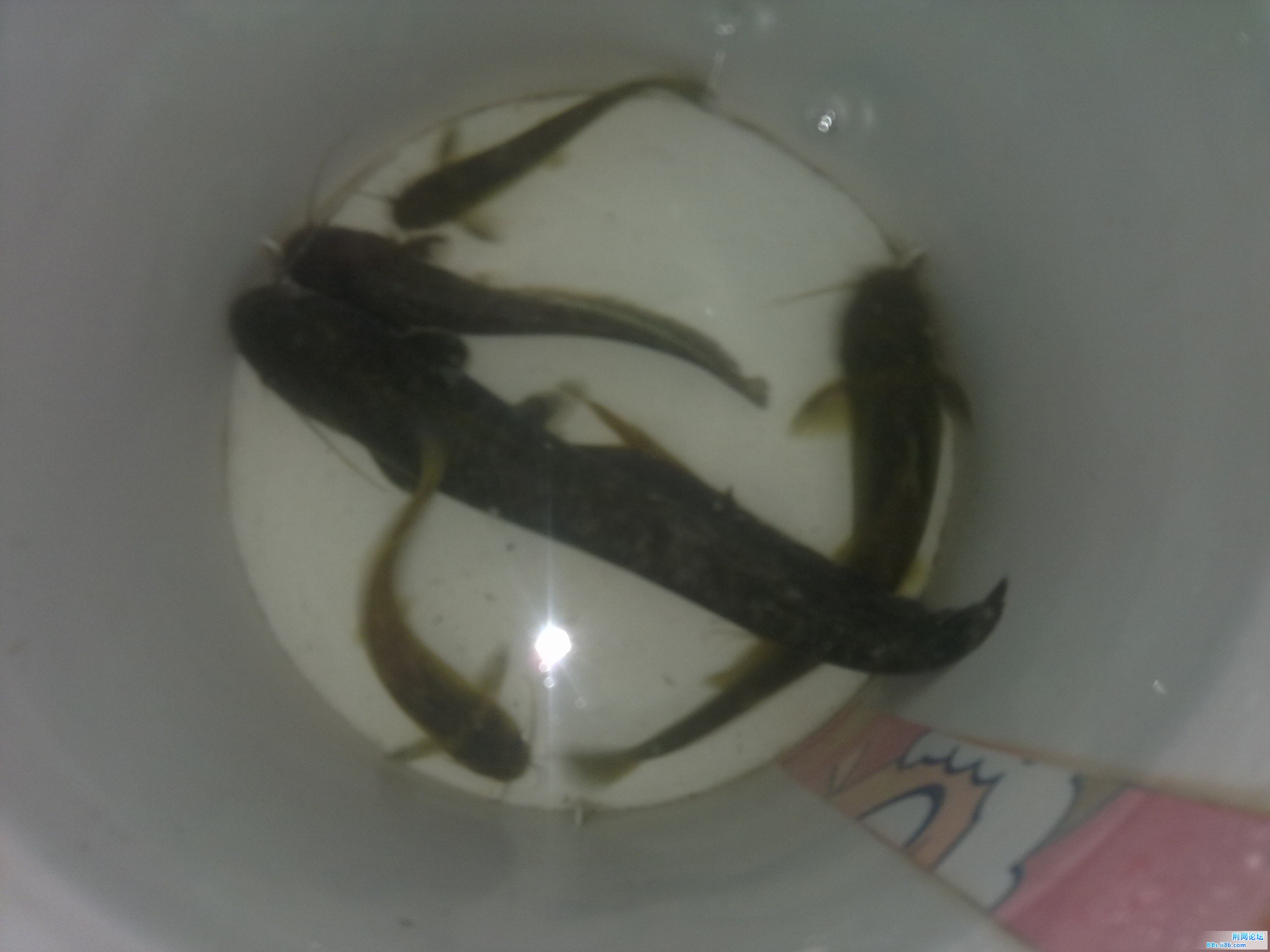 20120920002.jpg