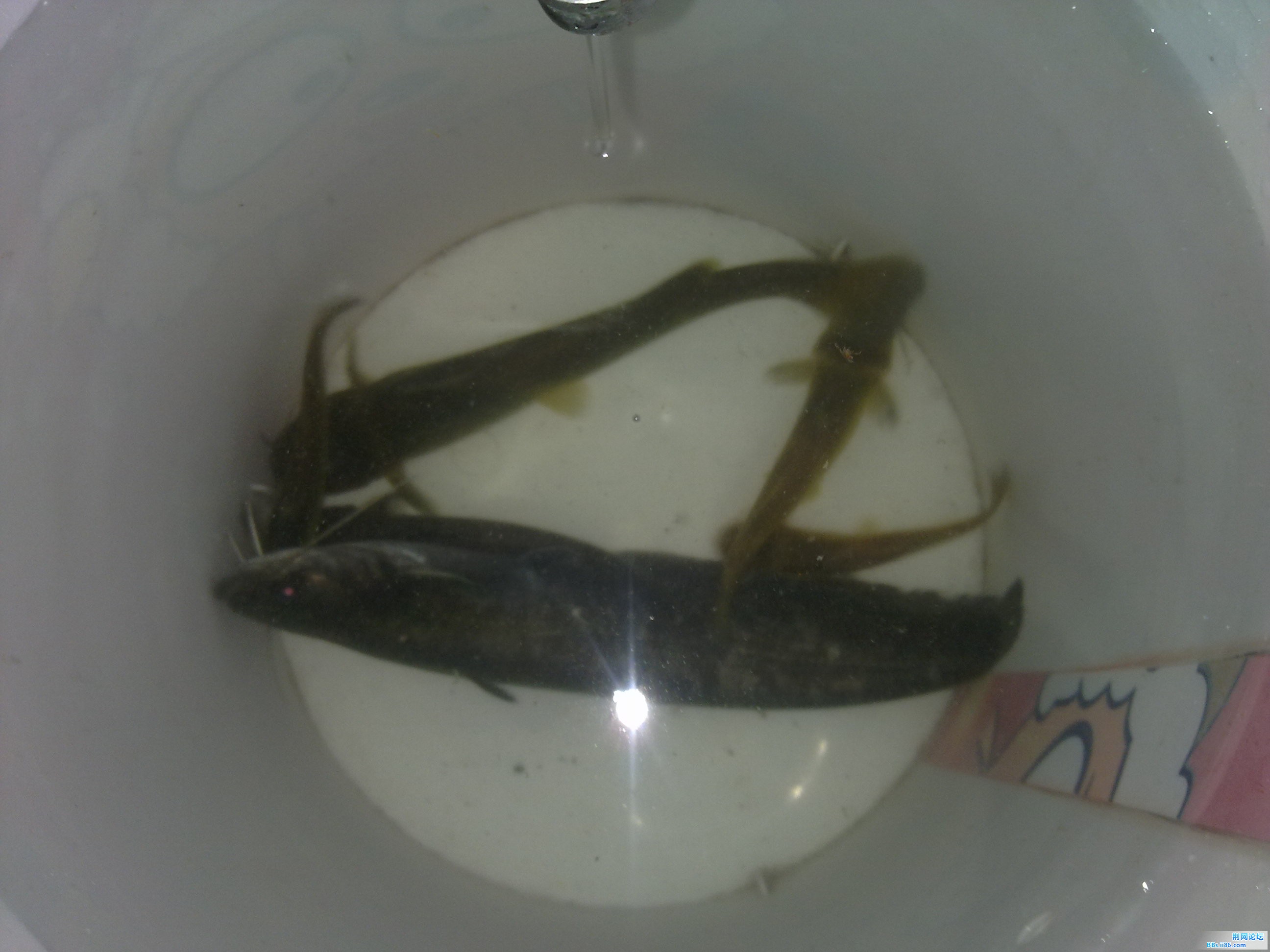 20120920003.jpg