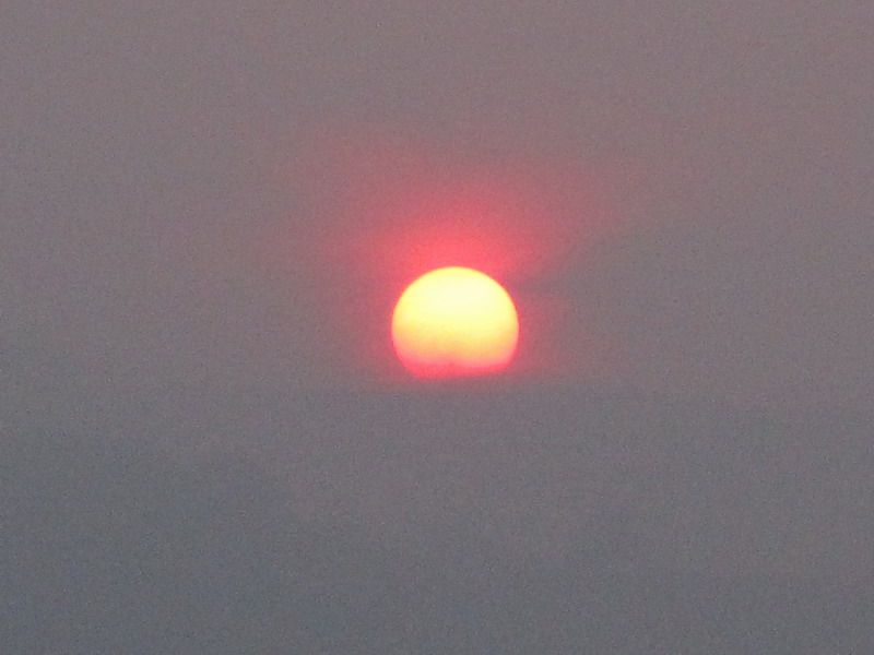IMG_7503.JPG