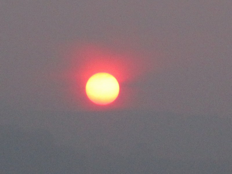 IMG_7505.JPG