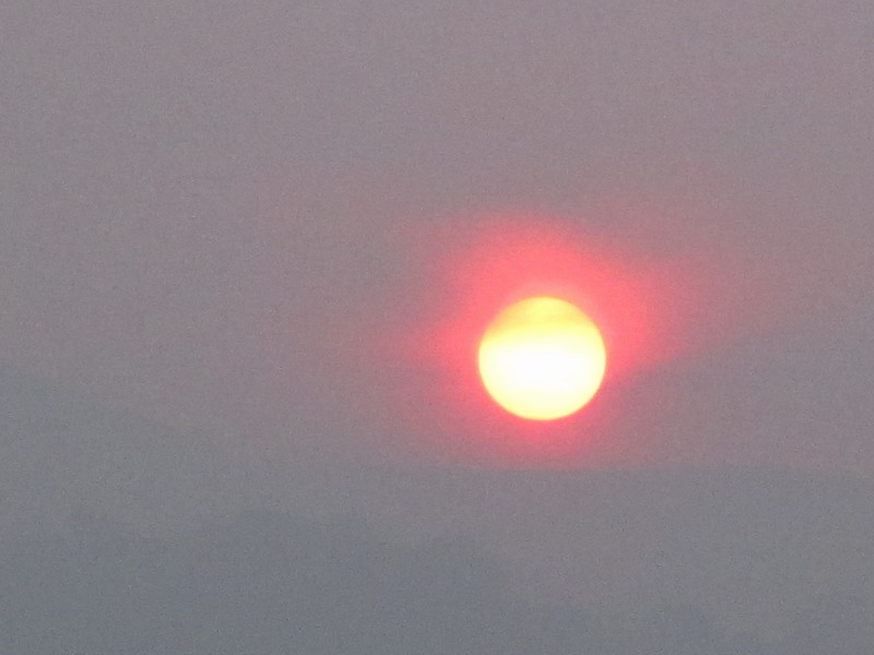 IMG_7507.JPG