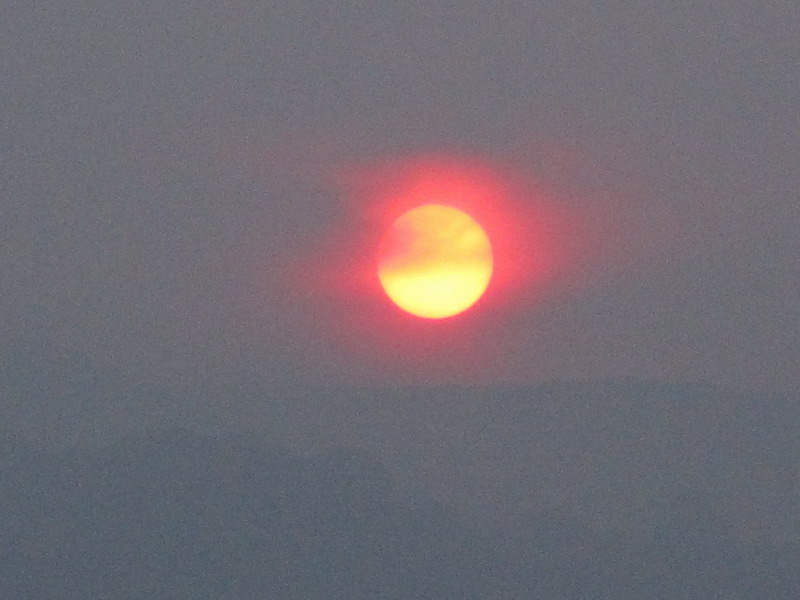 IMG_7509.JPG