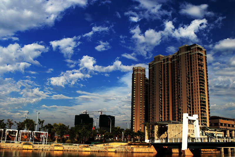BI0E8565.JPG