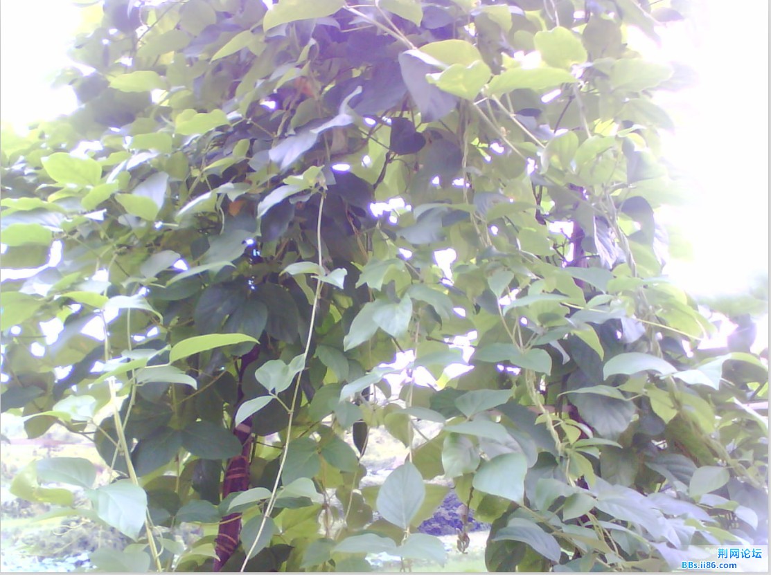 J(U5L7[Q16OR{4L1U20RI.jpg