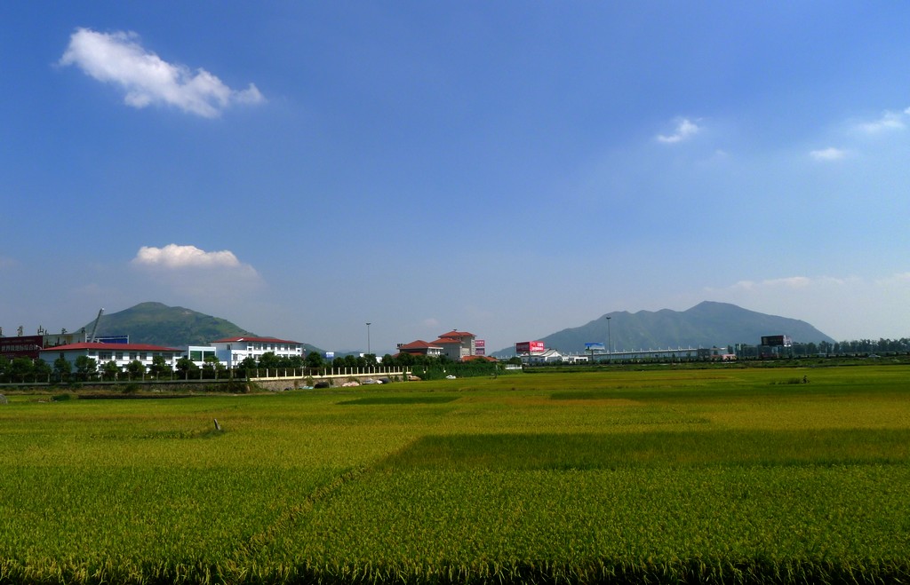 P1020624.jpg