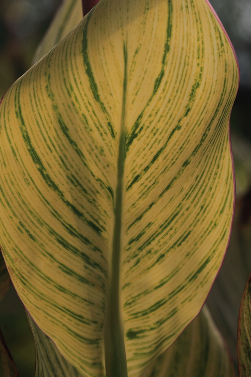 BI0E8460.JPG