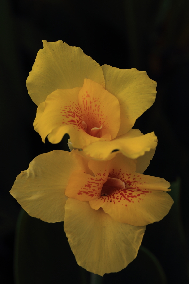 BI0E8464.JPG