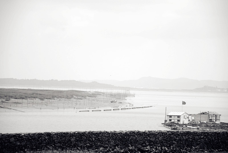 DSC_1998_副本.jpg