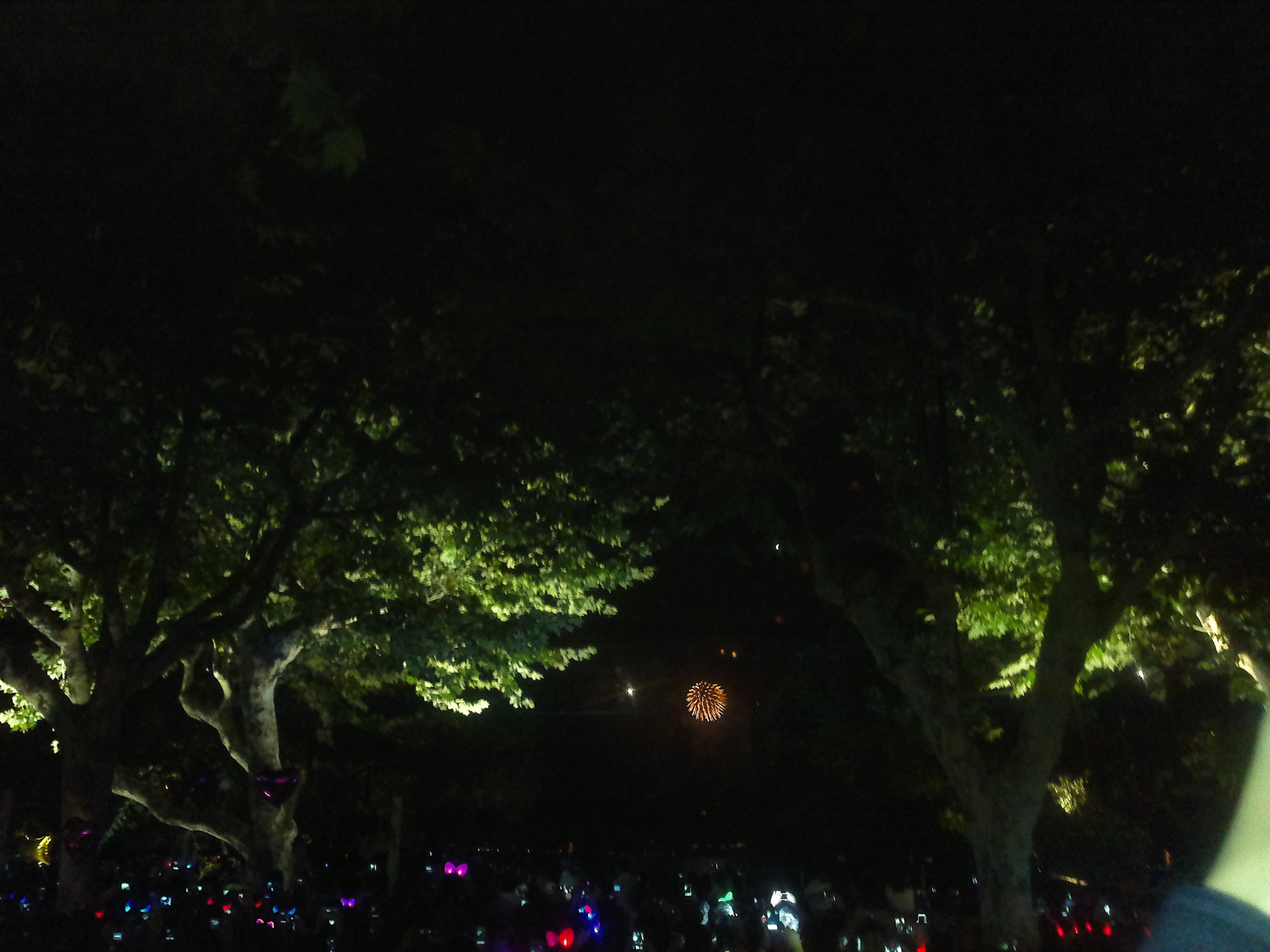 201210131558.jpg