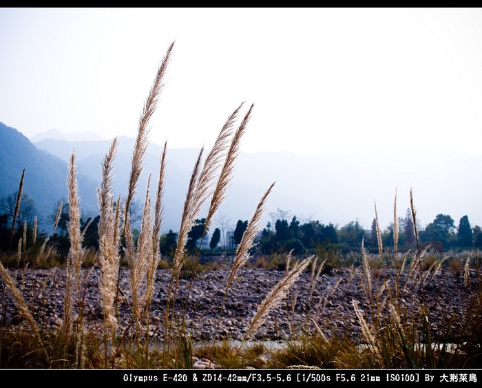 PC065366_ACR.JPG