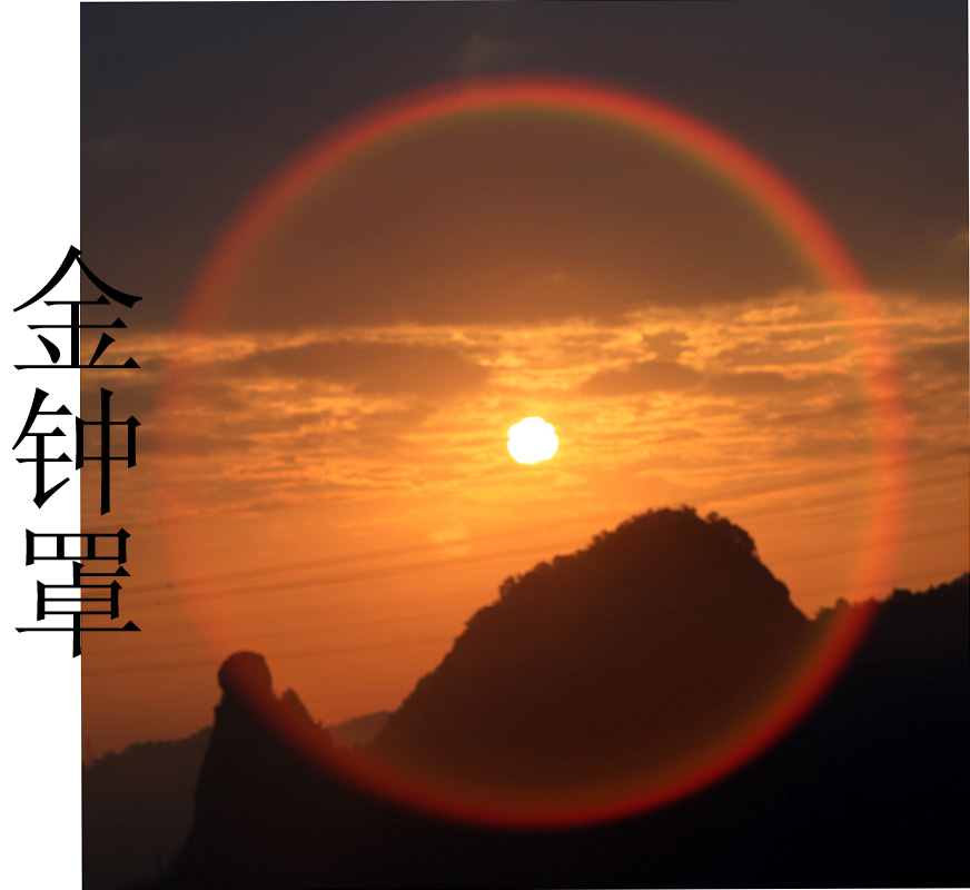 金钟罩（BI0E8975）.JPG
