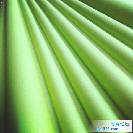 20121024207.jpg