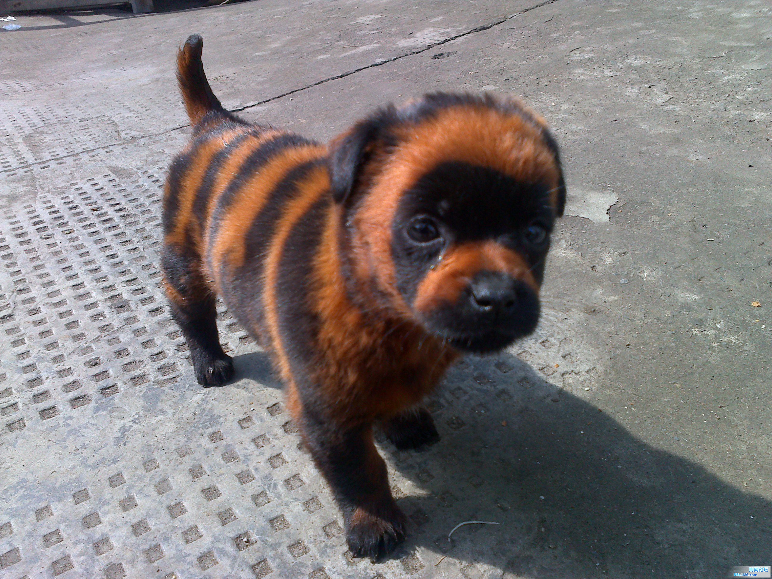 20110307179.jpg