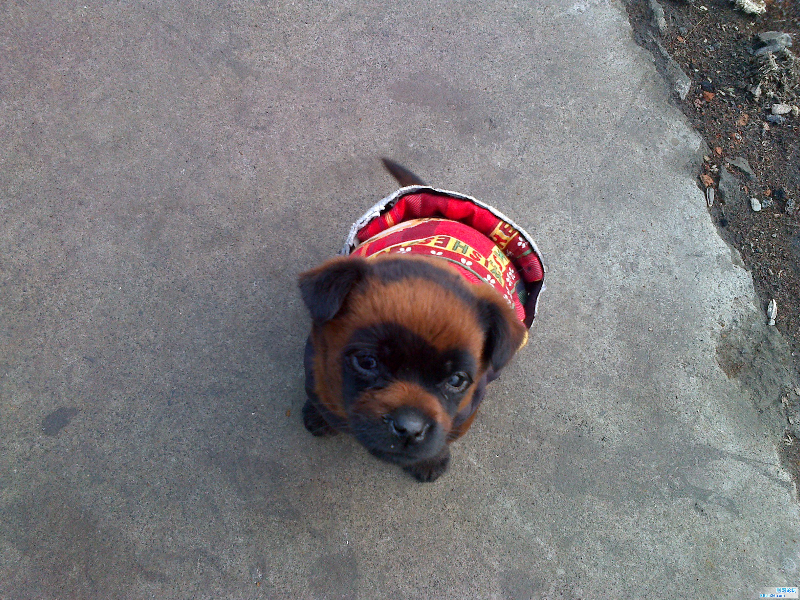 20110322191.jpg