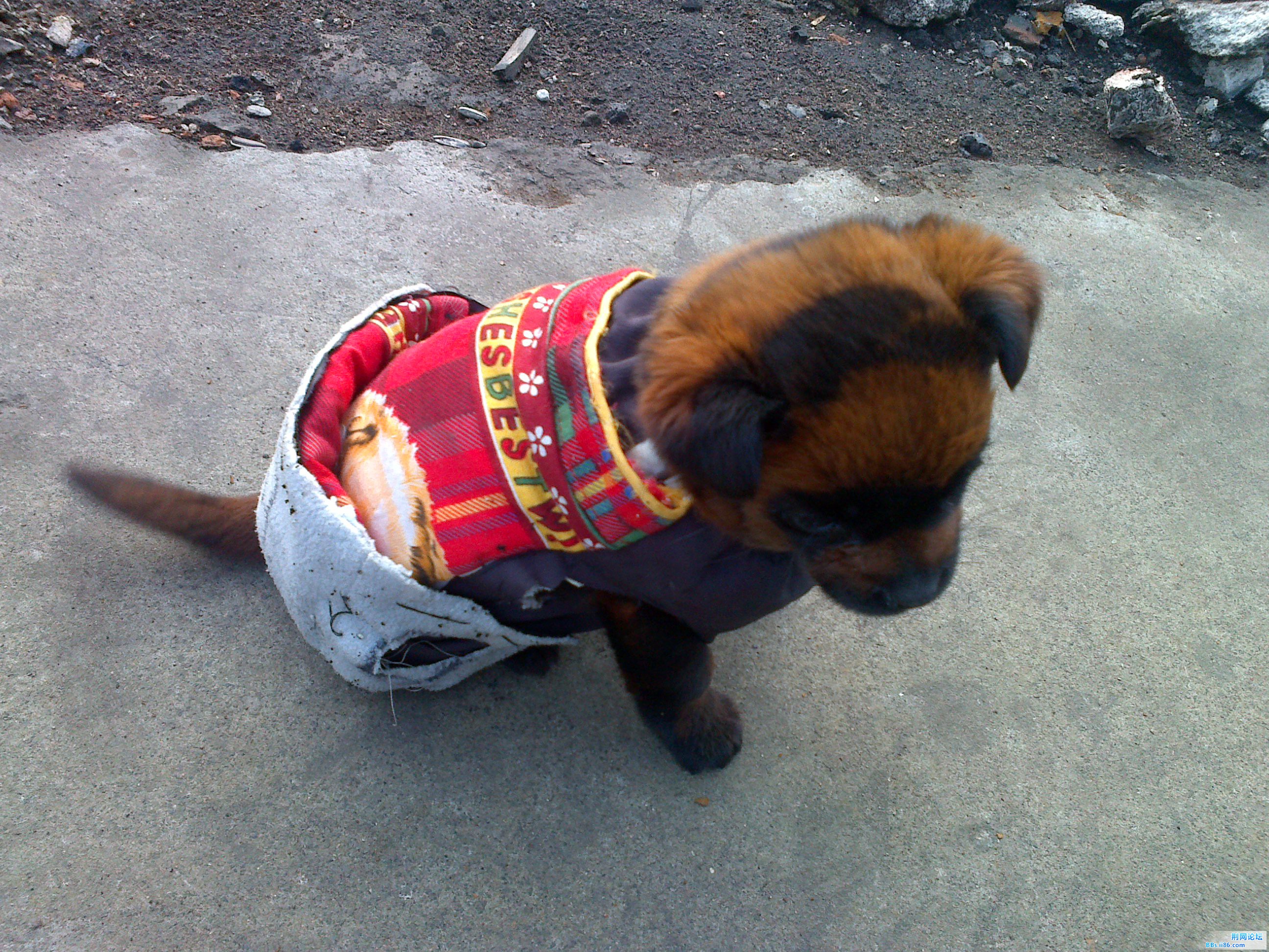 20110322192.jpg