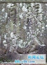 DSCN9137.jpg