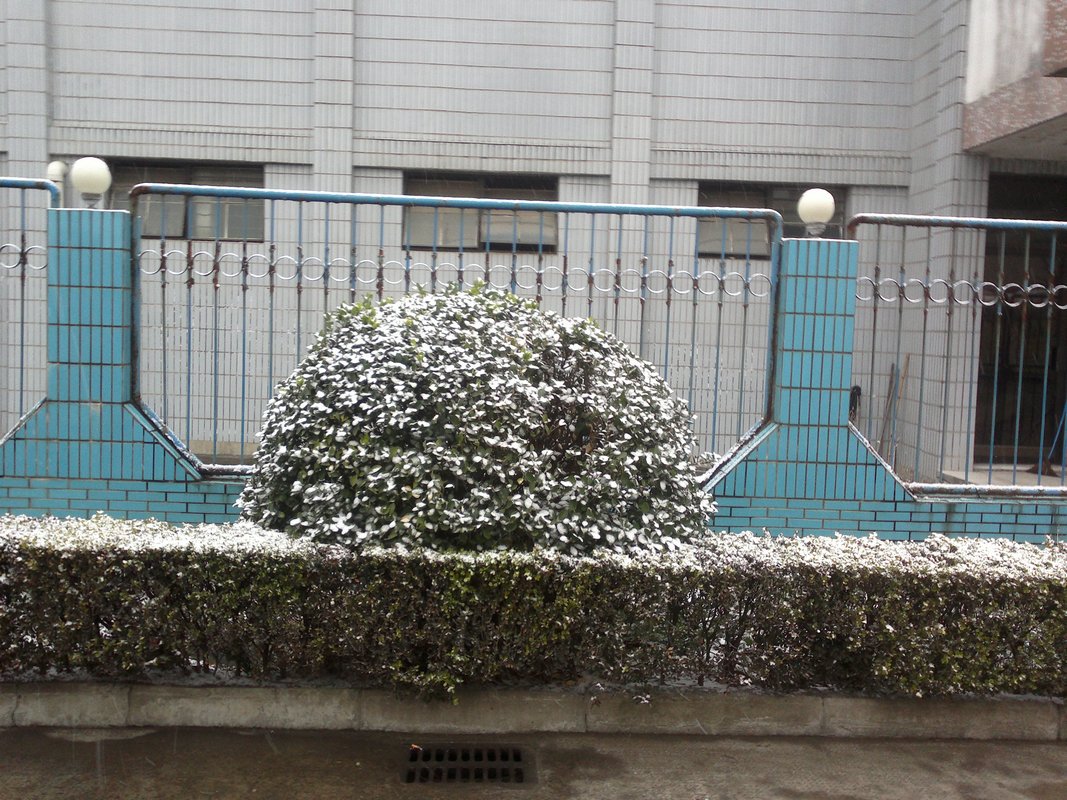 201301031654.jpg