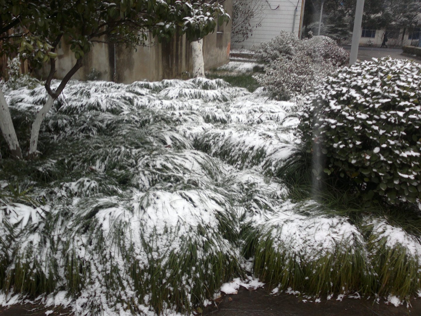 201301031657.jpg