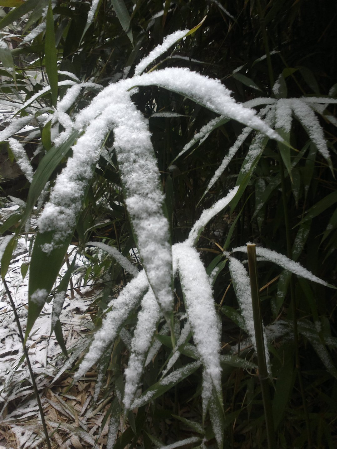 201301031661.jpg