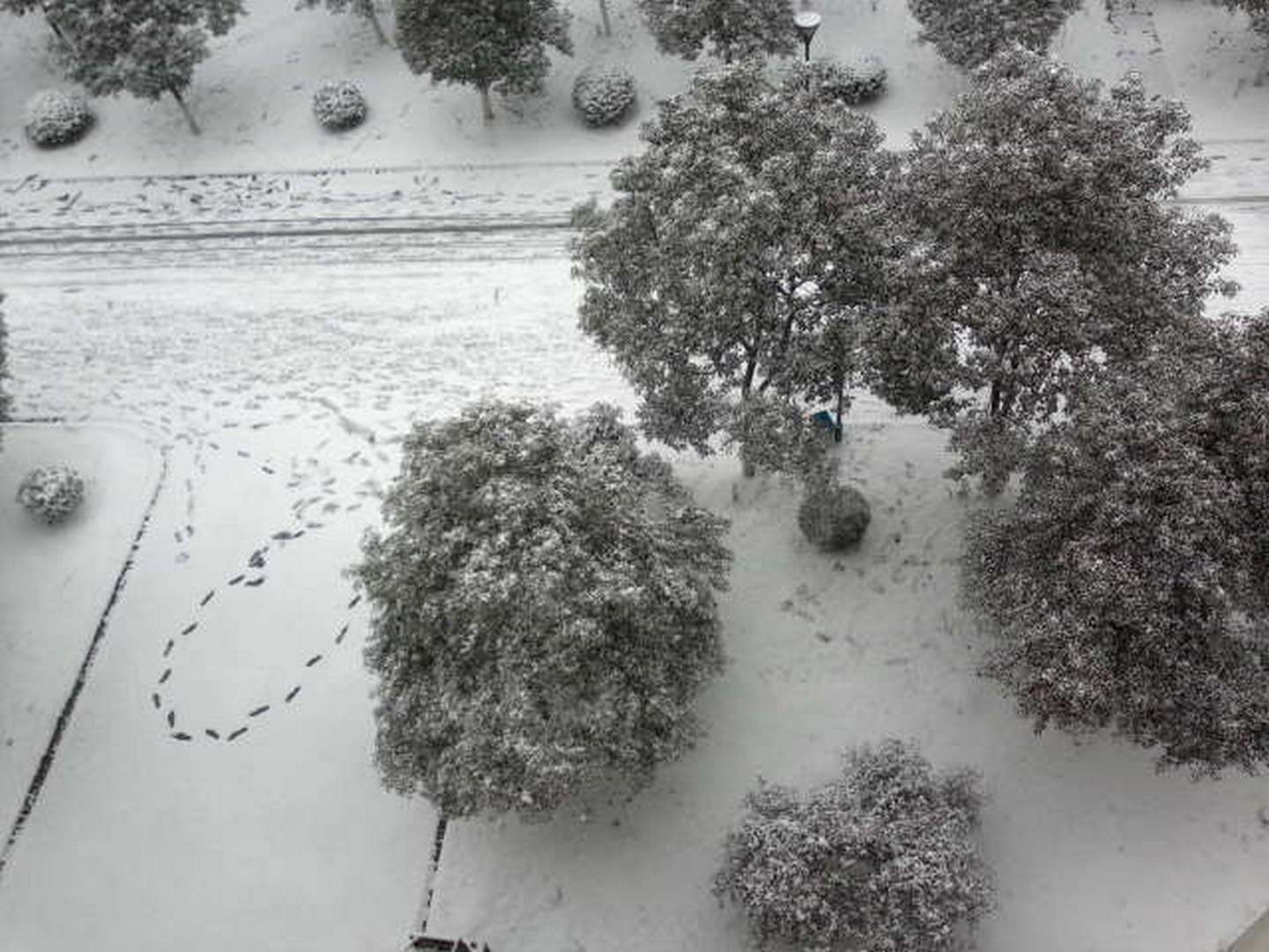 201301041670.jpg