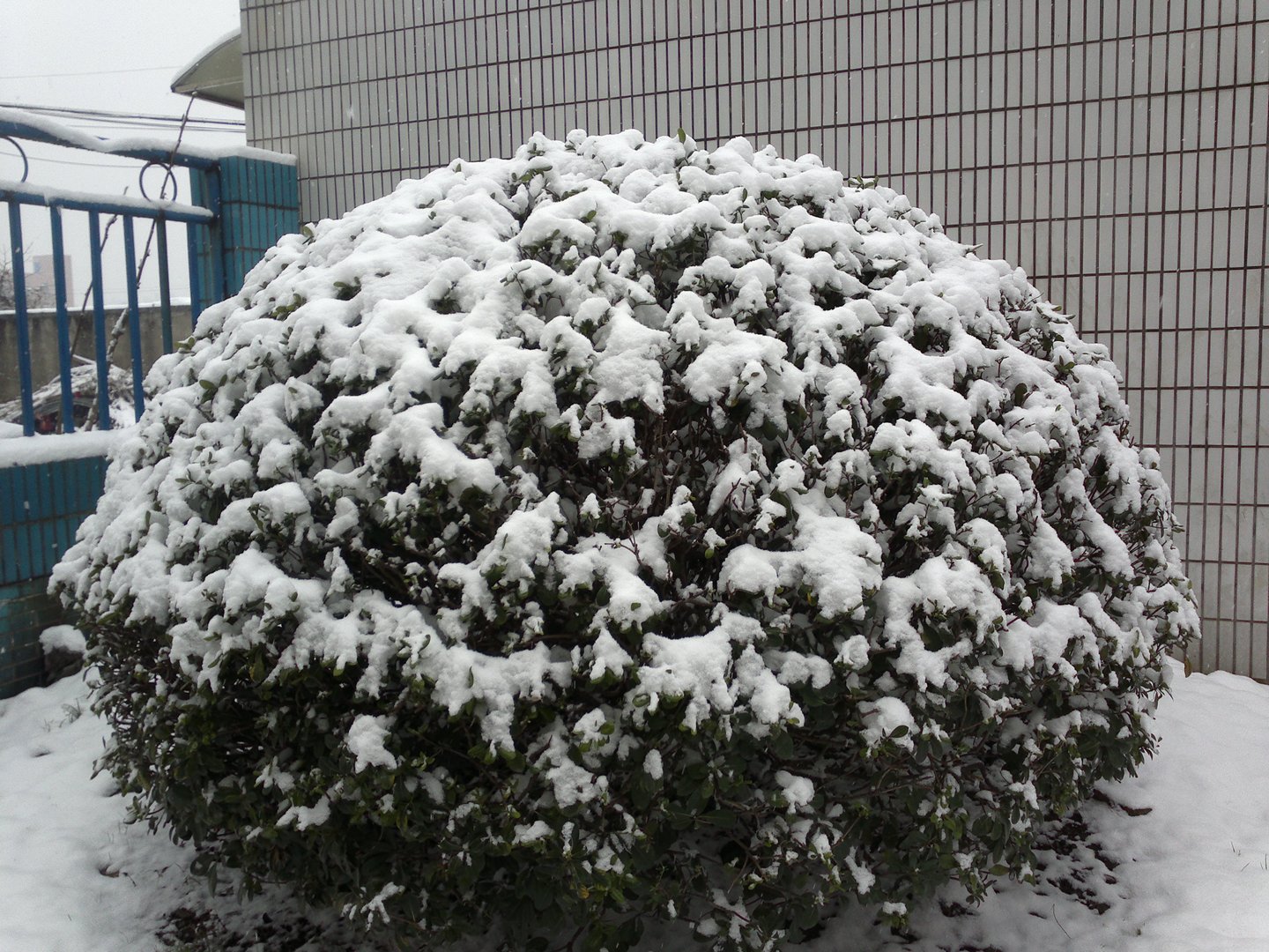 201301041680.jpg