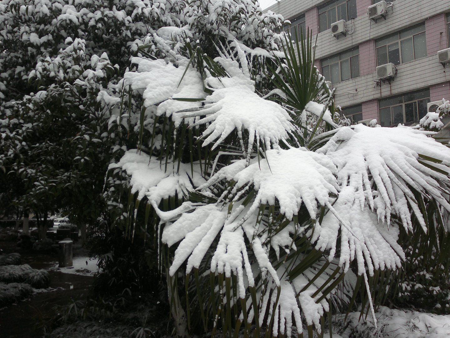 201301041682.jpg
