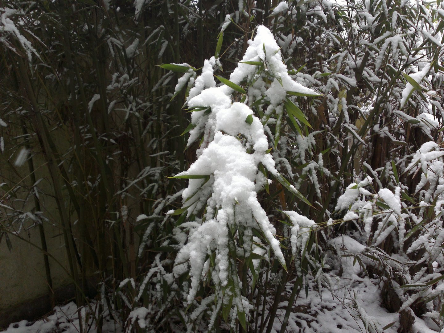 201301041683.jpg