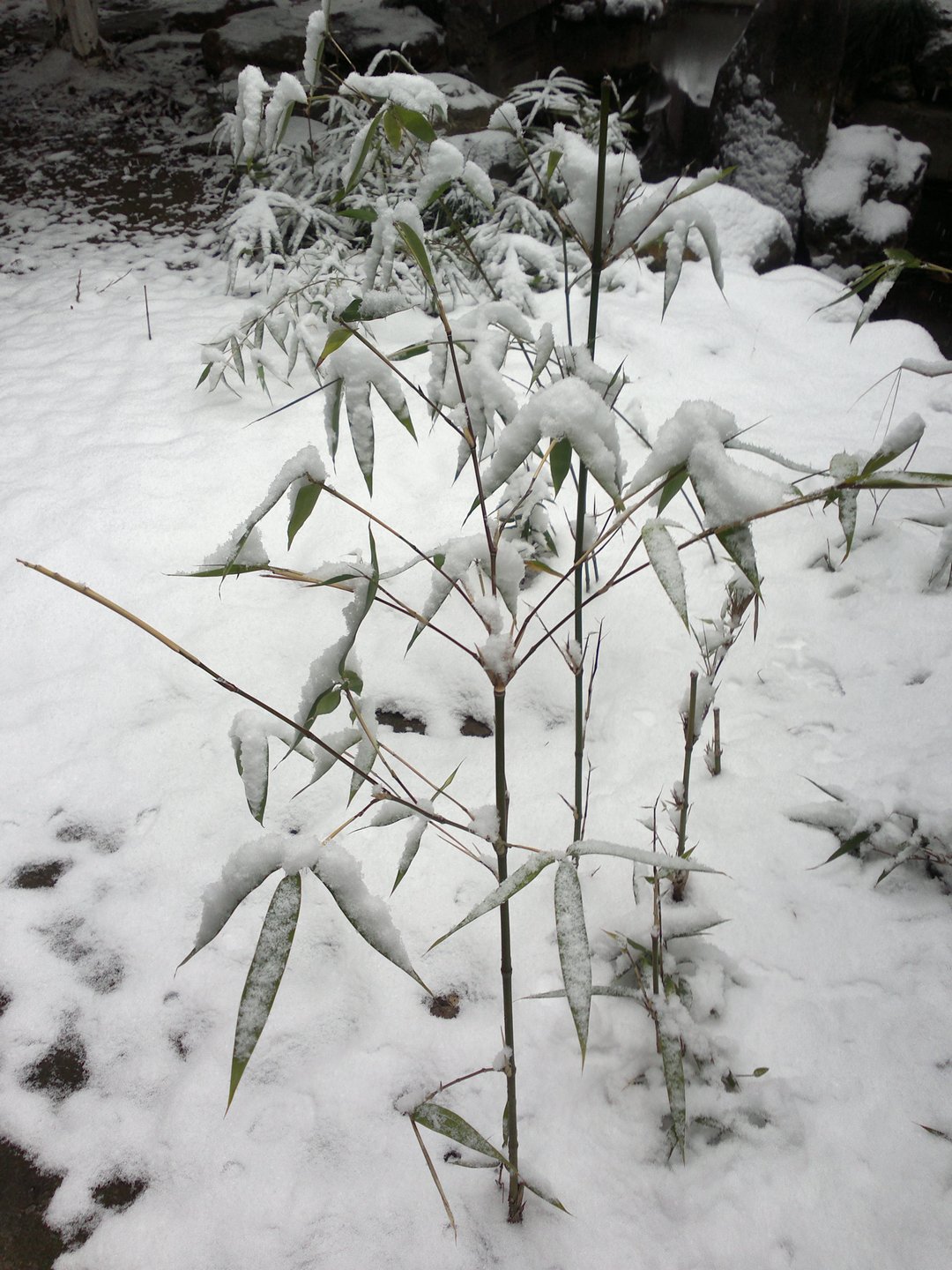 201301041684.jpg
