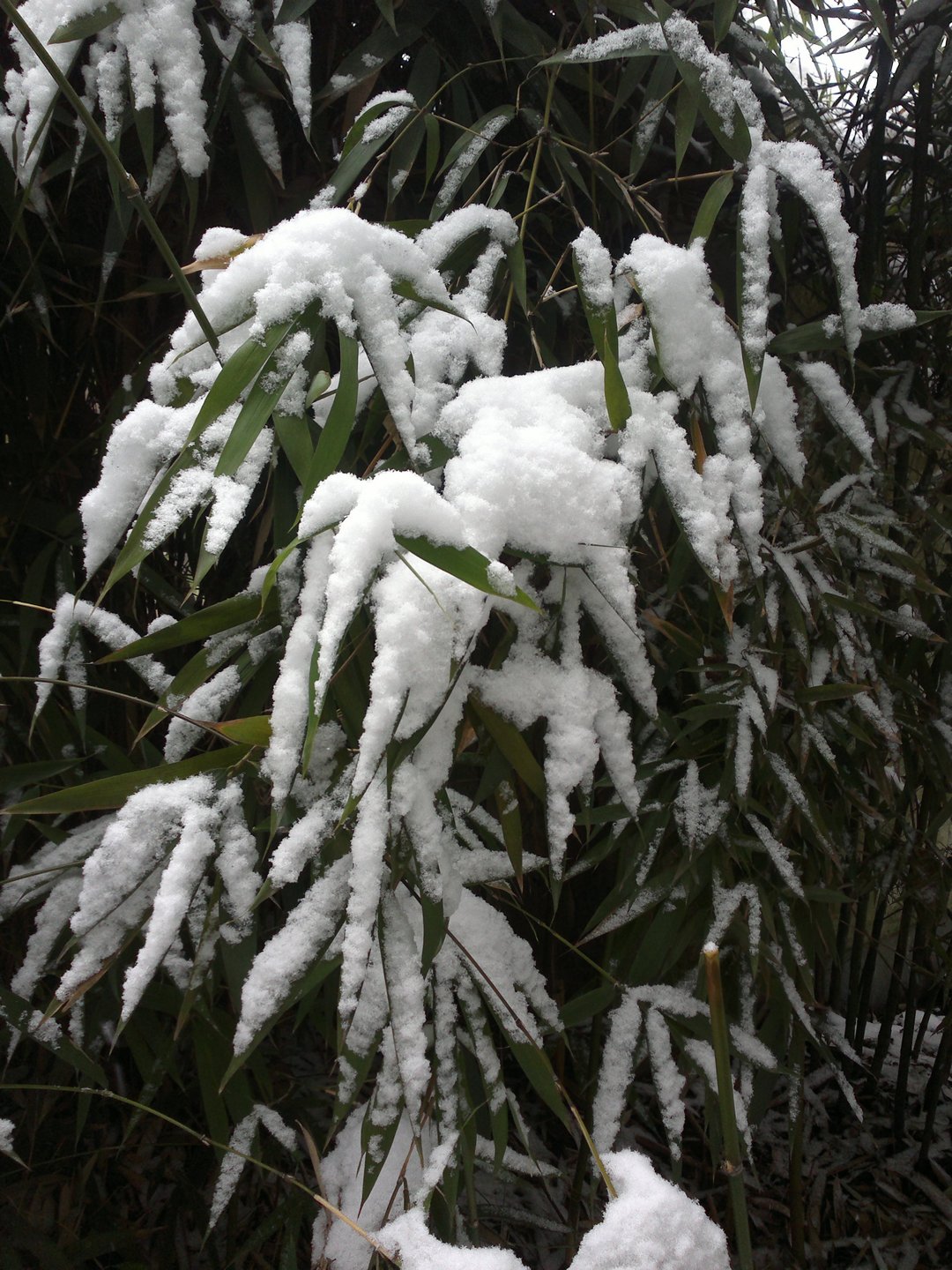 201301041685.jpg