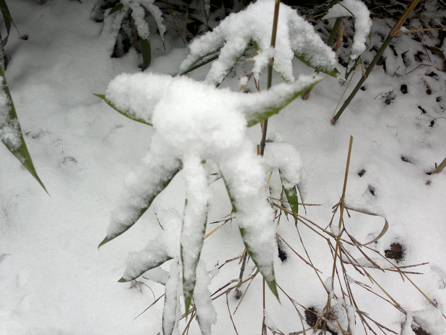 201301041687.jpg