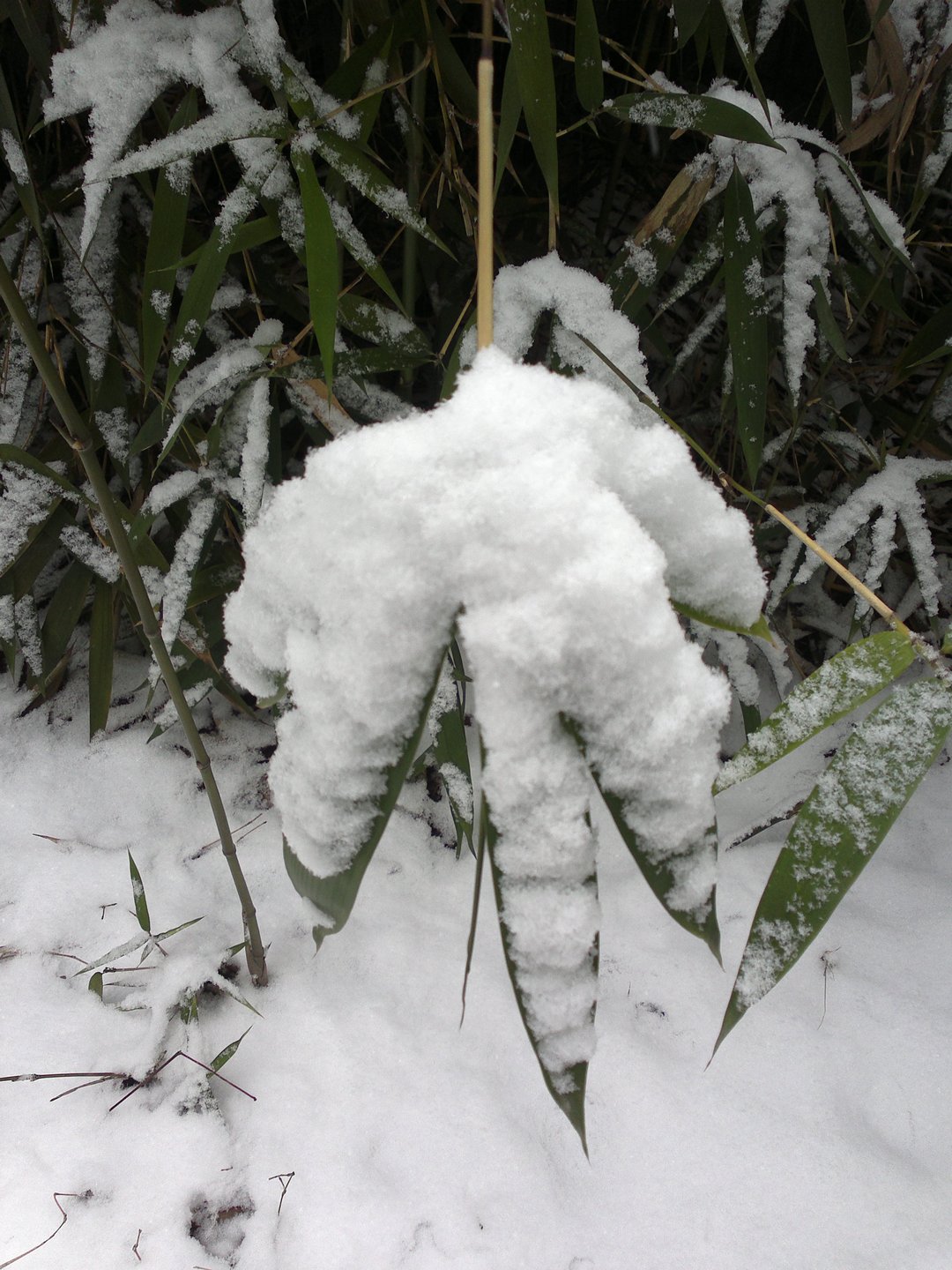 201301041688.jpg