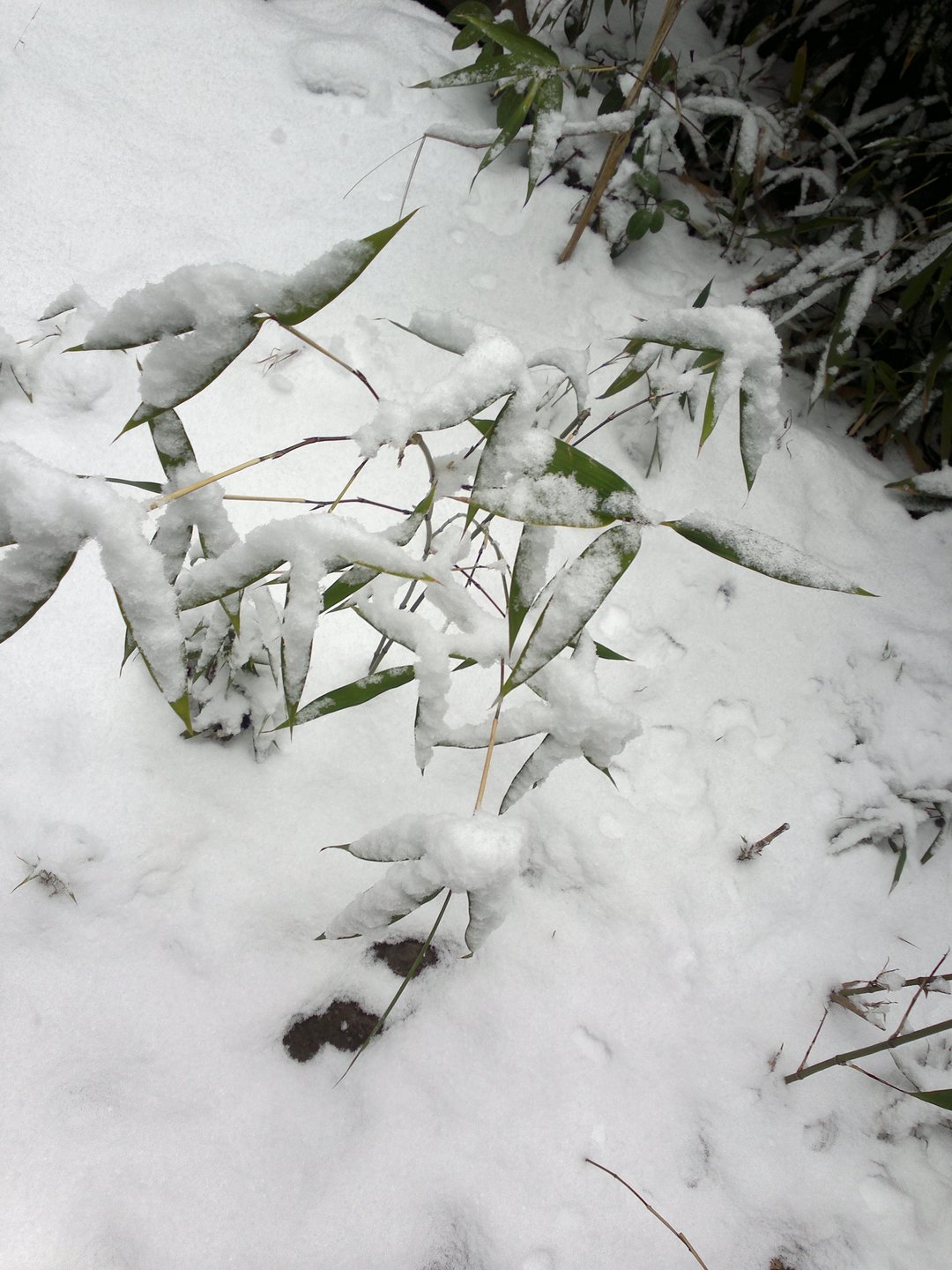 201301041689.jpg