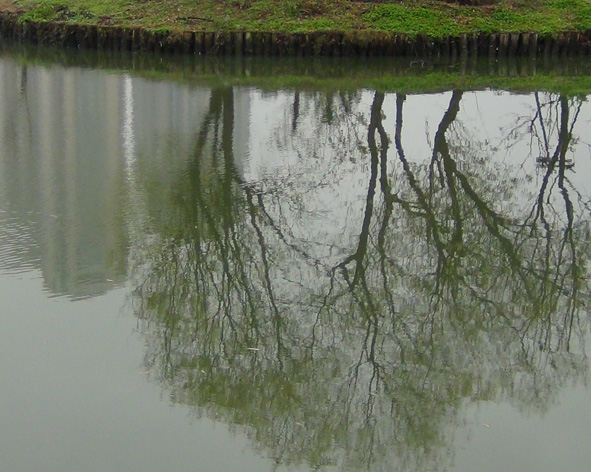 DSC00306.JPG