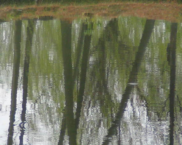 DSC00308.JPG