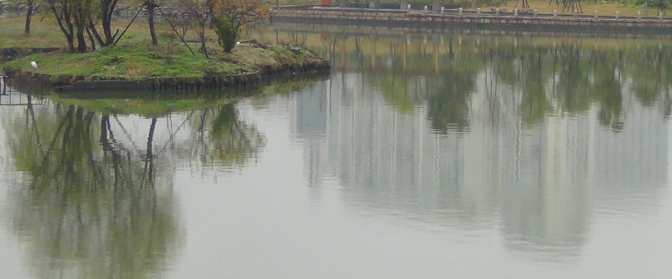DSC00285.JPG