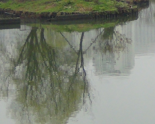 DSC00302.JPG
