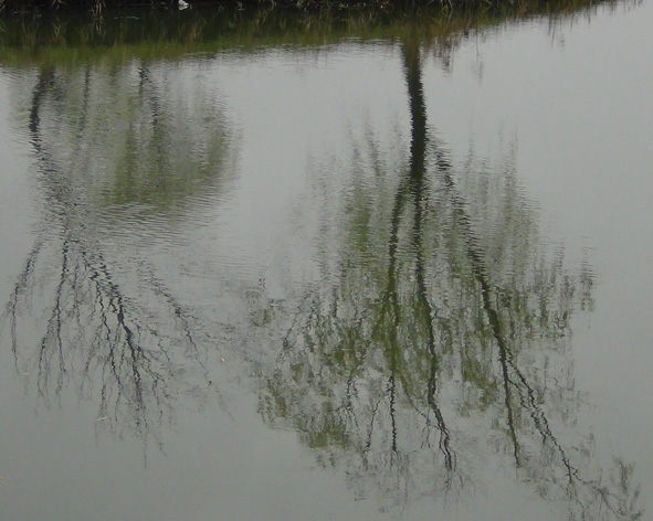 DSC00305.JPG