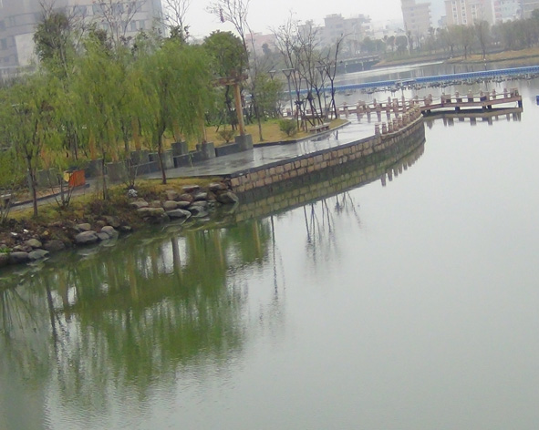DSC00312.JPG