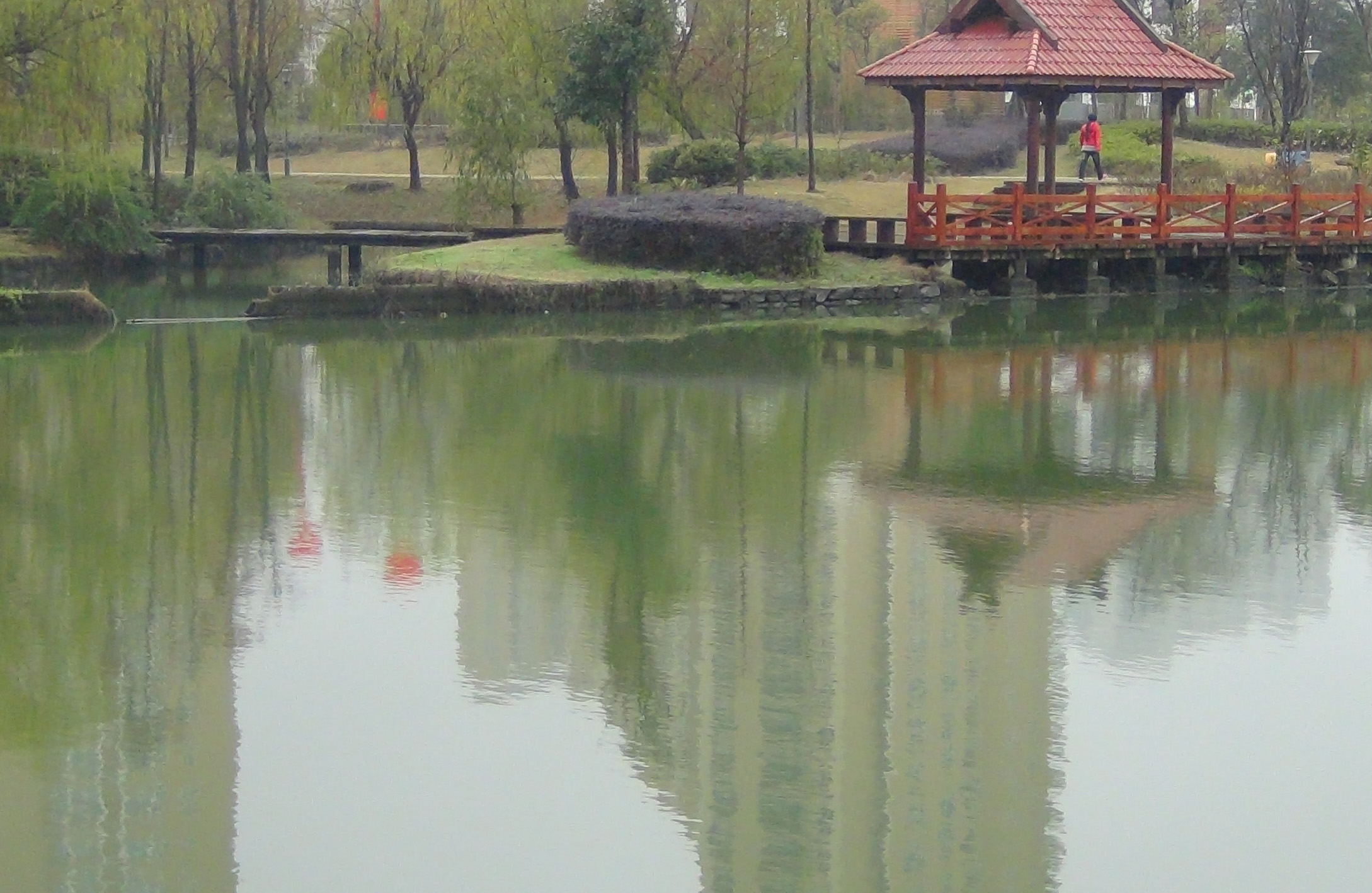 DSC00379.JPG